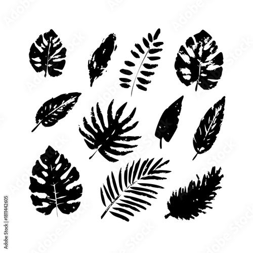 Set of black tropical leaves isolated on in grunge style
