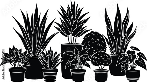 Various potted houseplants with different leaf shapes and sizes in silhouette style indoor plant collection