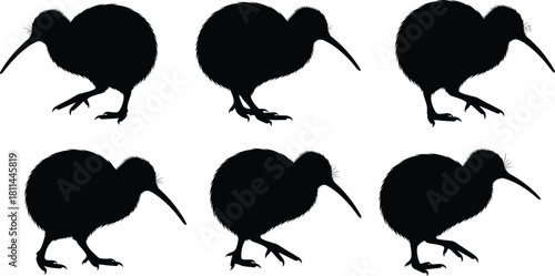 New Zealand Kiwi Bird Silhouettes Vector Illustration Set of Six Flightless Endemic Wildlife Animals Isolated on a White Background Icon Graphics.