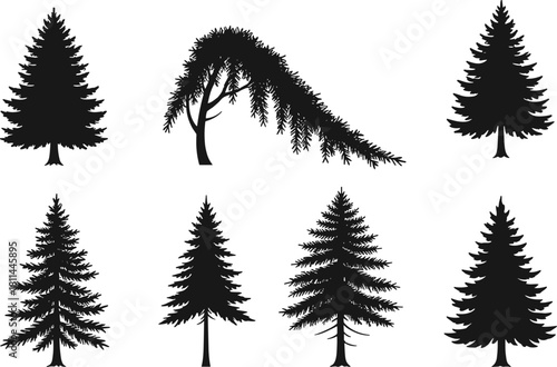Pine tree fir spruce cedar silhouette vector set for Christmas New Year holiday forest nature landscape illustration design elements.