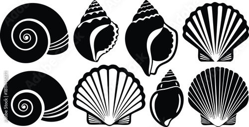 Black and white seashell silhouettes collection with spiral and fan shapes in simple vector style