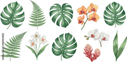 Adobe Illustrator Artwork