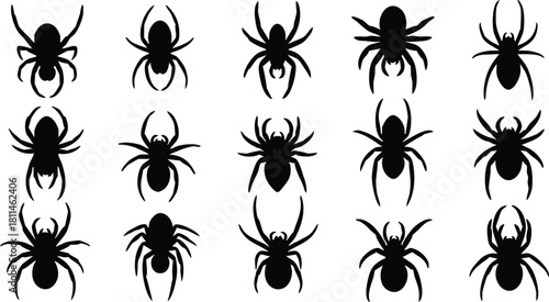 Black spider silhouette collection with various spider shapes and leg positions on white background for design use