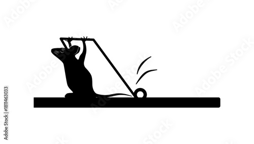 What Doesn't Kill You Makes You Stronger