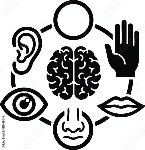 Human five senses icons including brain with ear eye nose mouth and hand illustration in simple black line design