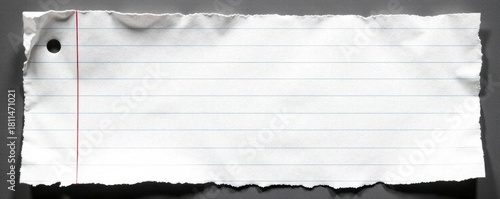 Torn edges, gridded memo paper, distressed black and white Vintage feel , sheet, design element, graphic