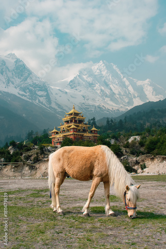 A light brown horse grazing peacefully in a meadow with a traditional monastery and the snow-covered Himalayas in the background.