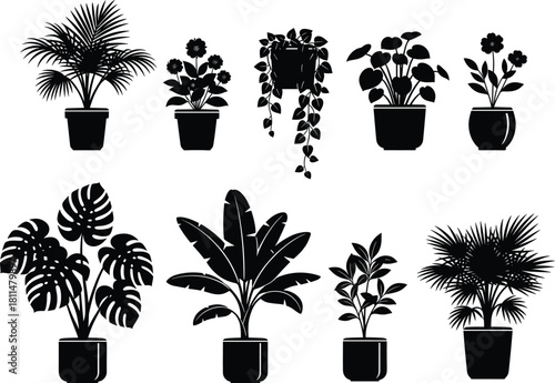 Silhouette potted plants vector set, indoor foliage icons, black botanical shapes, houseplant clipart, decorative greenery, minimalist plant collection