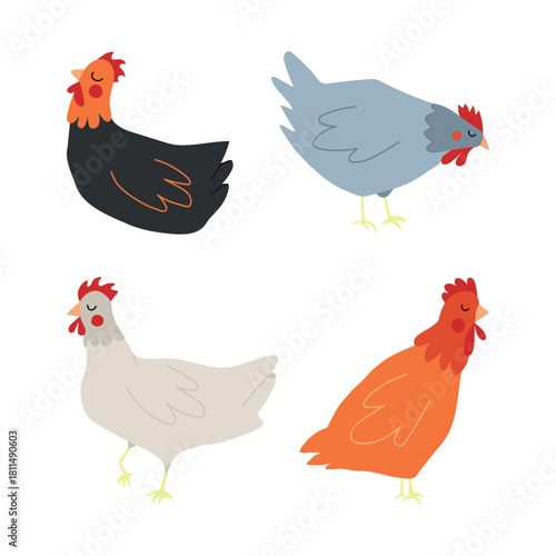 Set of chickens with colorful plumage. Isolated on a white background.