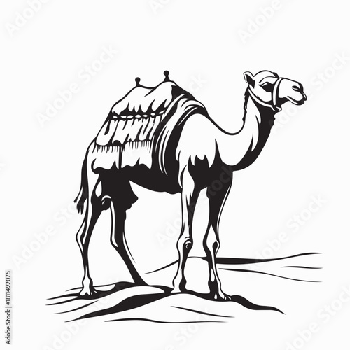 Camel Standing Alone in Sandy Desert Vector Image on white background