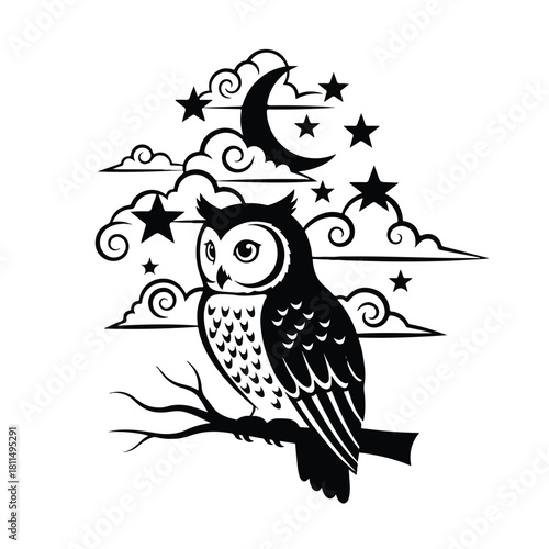 A detailed illustration of a wise owl perched on a branch under a starry night sky with clouds.