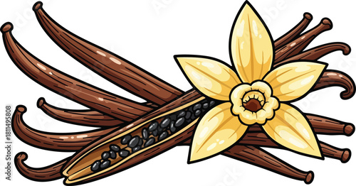 Vanilla Bean Pods And Flower Ingredient For Flavoring And Baking