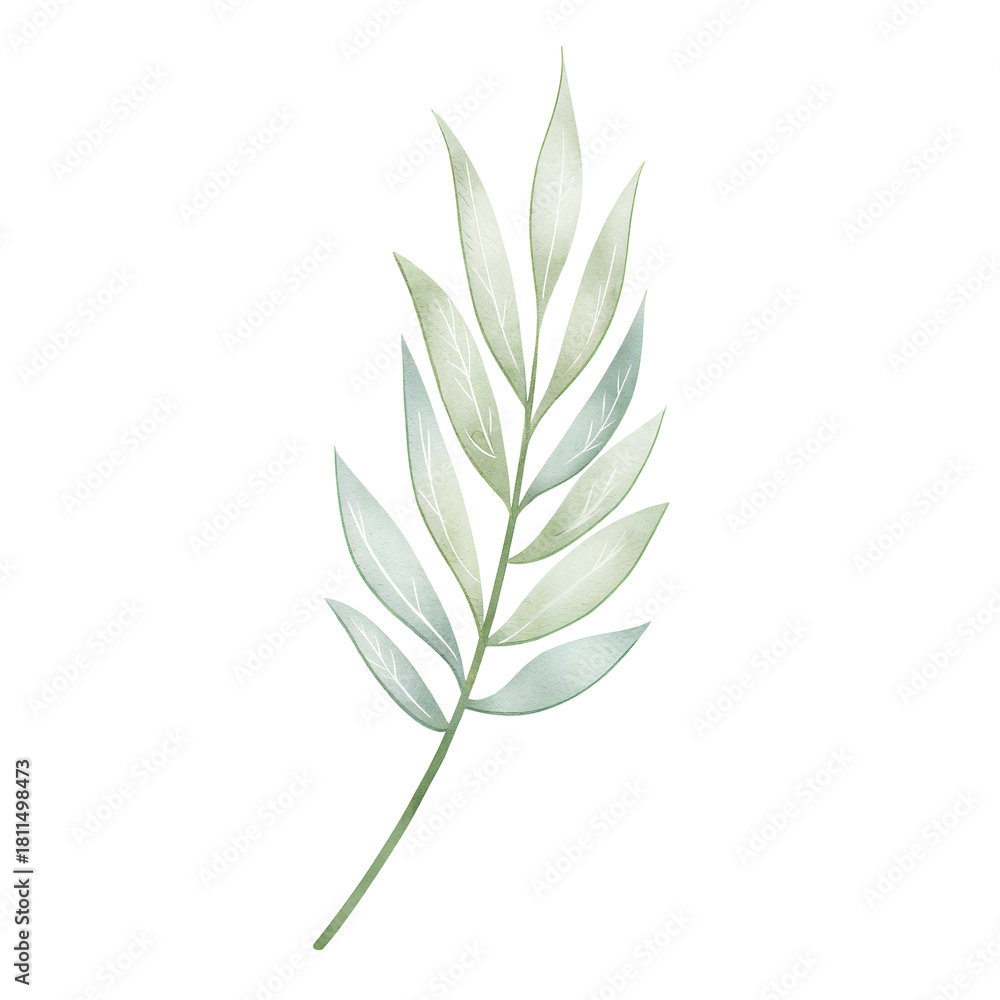 Fototapeta premium Elegant Botanical Leaf Watercolor Illustration, Gentle Green Stem Artwork
