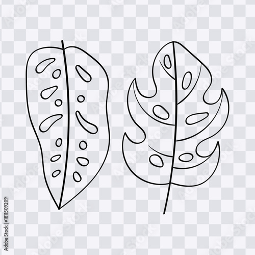 Hand drawn monstera tropical leaves line art coloring page vector illustration