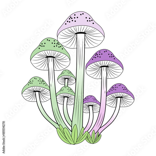 A vintage style illustration representing pastel mycelium