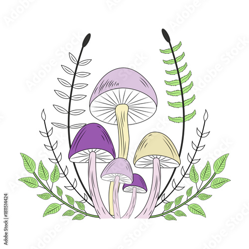 A vintage style illustration depicting forest mushrooms
