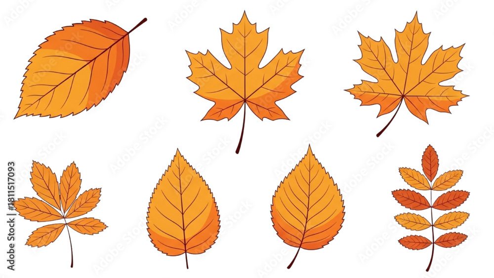 Naklejka premium Collection of Autumn Leaves in Various Shapes and Fall Colors