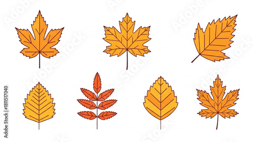 Colorful autumn leaves set, diverse fall foliage shapes in warm seasonal tones for graphic design