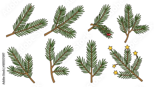 Collection of hand-drawn fir tree branches for festive and natural designs