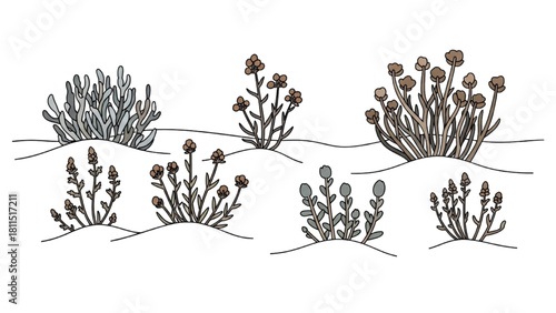 Collection of stylized desert plants and shrubs hand-drawn illustration