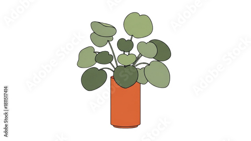 Wallpaper Mural Illustration of a Pilea Peperomioides Plant in a Stylish Orange Pot Torontodigital.ca
