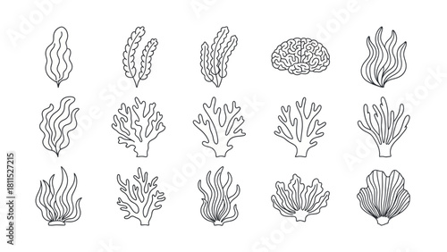 Collection of Hand-Drawn Seaweed and Brain Doodle Illustrations on White Background