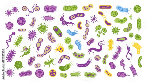Colorful Vector Illustration of Various Bacteria and Microorganisms for Science and Education