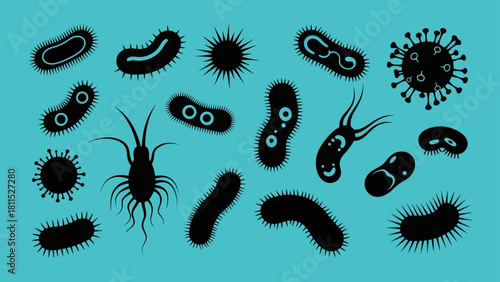 Silhouette of Various Bacteria and Viruses on Light Blue Background