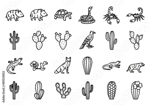 A diverse collection of desert wildlife and cactus icons. This vector line art set features animals from the American Southwest like the coyote, tortoise, and scorpion