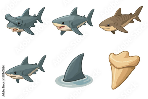 Cartoon shark variants with fin and fossil tooth illustrations on white background