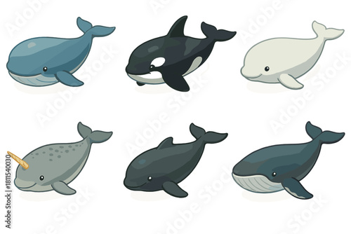 Cute cartoon sea creatures: whale, orca, beluga, narwhal, dolphin, blue whale