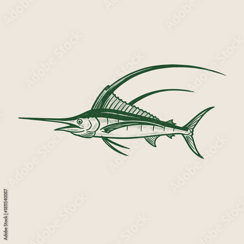 Vintage Sailfish Engraving.Marlin Vector Illustration.Retro Sport Fishing Logo.Nautical Billfish Emblem.Game Fish Mascot Design