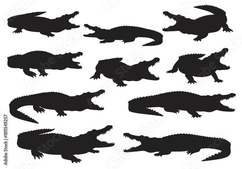 Silhouette of Alligators in Various Poses