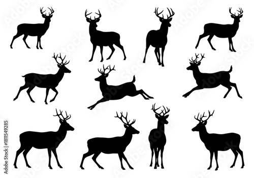 Silhouette Collection of Majestic Deer Stags in Various Poses for Design Projects