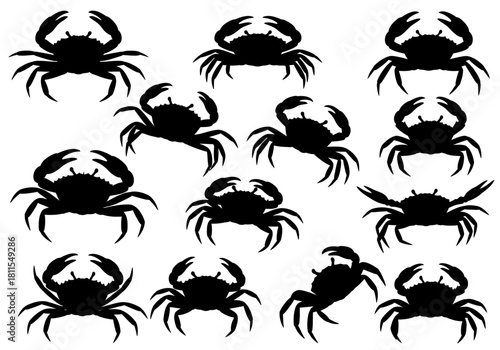 Collection of crab silhouette illustrations on a white background
