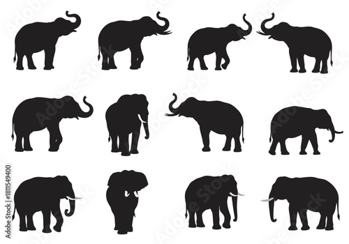Majestic Elephant Silhouettes A Collection of Wildlife Art