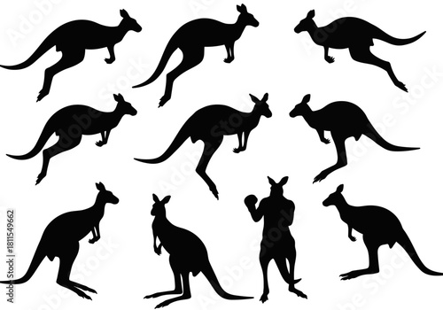Kangaroo Silhouette Set Australian Wildlife Vector Graphics