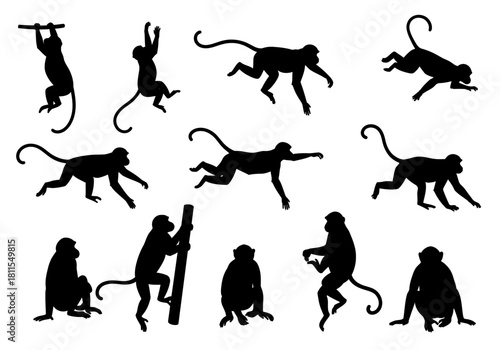 Monkey Silhouette Vector Collection Playful Wildlife Designs