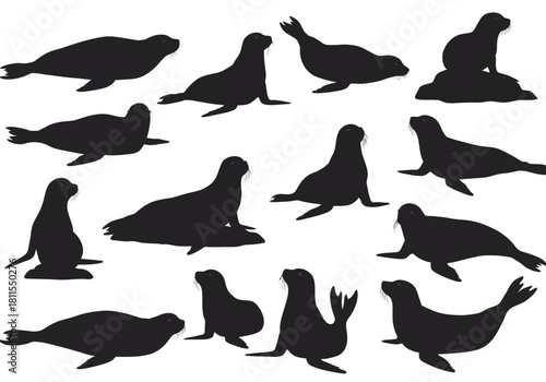 Silhouette of a Collection of Seals Laying and Sitting