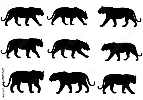 Tigers in Silhouette A Wildlife Pattern