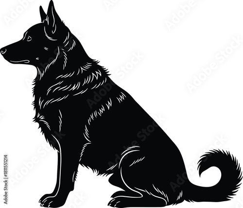 Dog sitting silhouette, alert canine posture, pet animal vector, fur detail illustration, domestic dog icon, flat black artwork