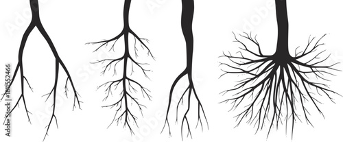 Four Different Styles of Tree Roots in Silhouette plant roots