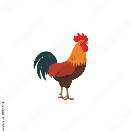 Colorful rooster illustration standing proudly on a white background showcasing bright plumage and