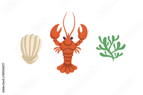 Vector hand-drawn illustration with sea life details. Sketches of lobster, shell, and seaweed.