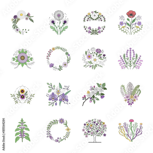 Collection of Nature and Botany Vintage Style Illustrations 

