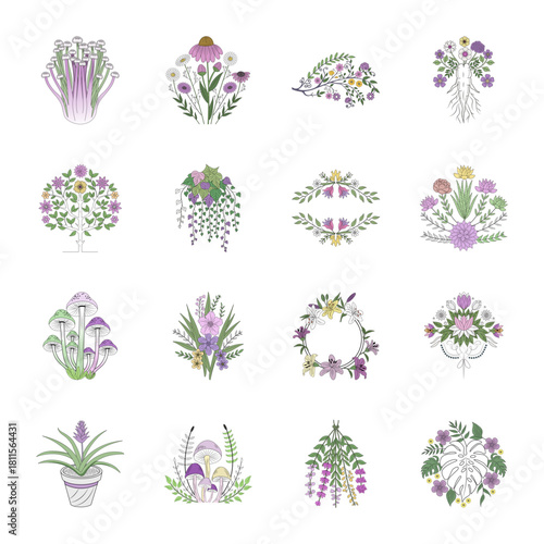 Pack of Flowers and Botany Vintage Style Illustrations 

