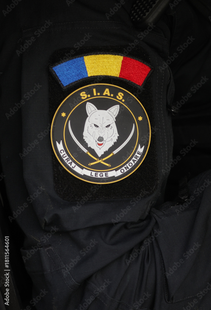 Obraz premium Romanian Police Special Forces (SIAS) officers during a mission.