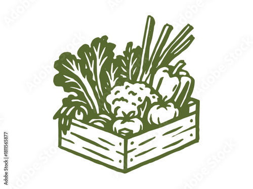 Vegetable crate hand-drawn sketch illustration vector