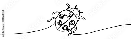 Continuous line drawing of a ladybug insect. Minimal linear vector illustration, isolated on transparent background, representing eco, nature, and environmental concept