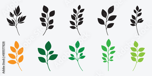 Stylized leaf branches vector collection in black, orange, and green